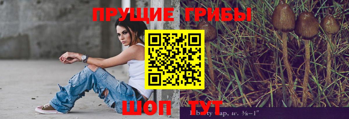 наркотики  Вход с VPN  Галлюциногенные грибы GOLDEN TEACHER  Белово  Псилоцибиновые грибы Magic Shrooms 